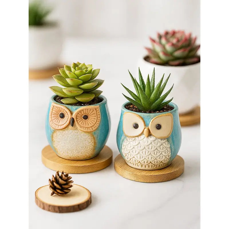 Cute Owl Succulent Planters Mini Ceramic Animal Flower Pots For Indoor Desk Garden Decor