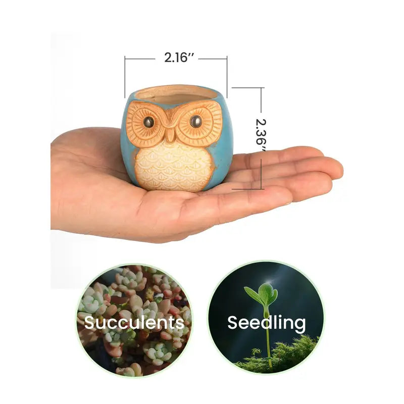 Cute Owl Succulent Planters Mini Ceramic Animal Flower Pots For Indoor Desk Garden Decor