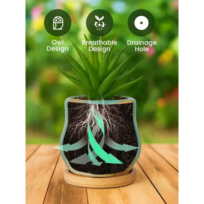 Cute Owl Succulent Planters Mini Ceramic Animal Flower Pots For Indoor Desk Garden Decor