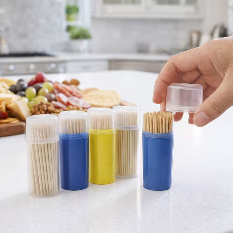 600 Pack Wooden Toothpicks with Portable Dispenser Disposable Toothpicks for Kitchen