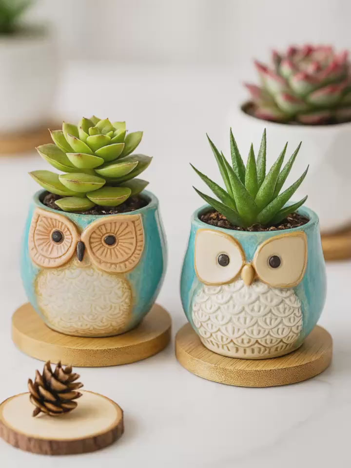 Cute Owl Succulent Planters Mini Ceramic Animal Flower Pots For Indoor Desk Garden Decor